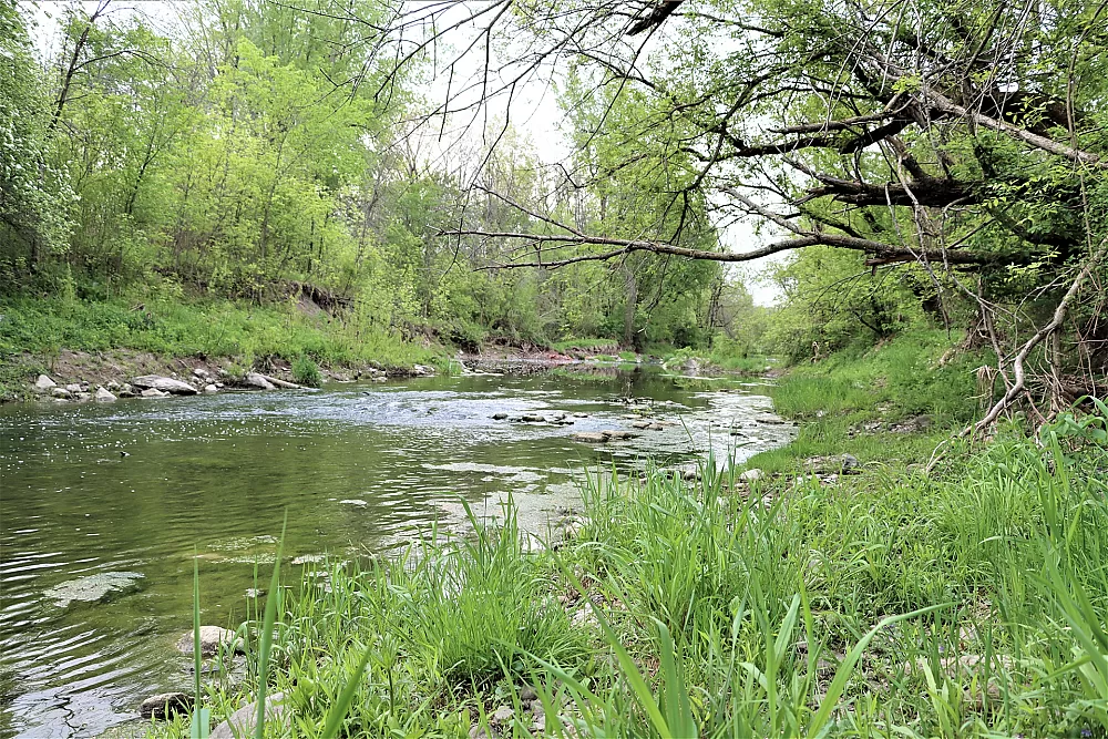 Riviere Saint Jacques bandes riveraines