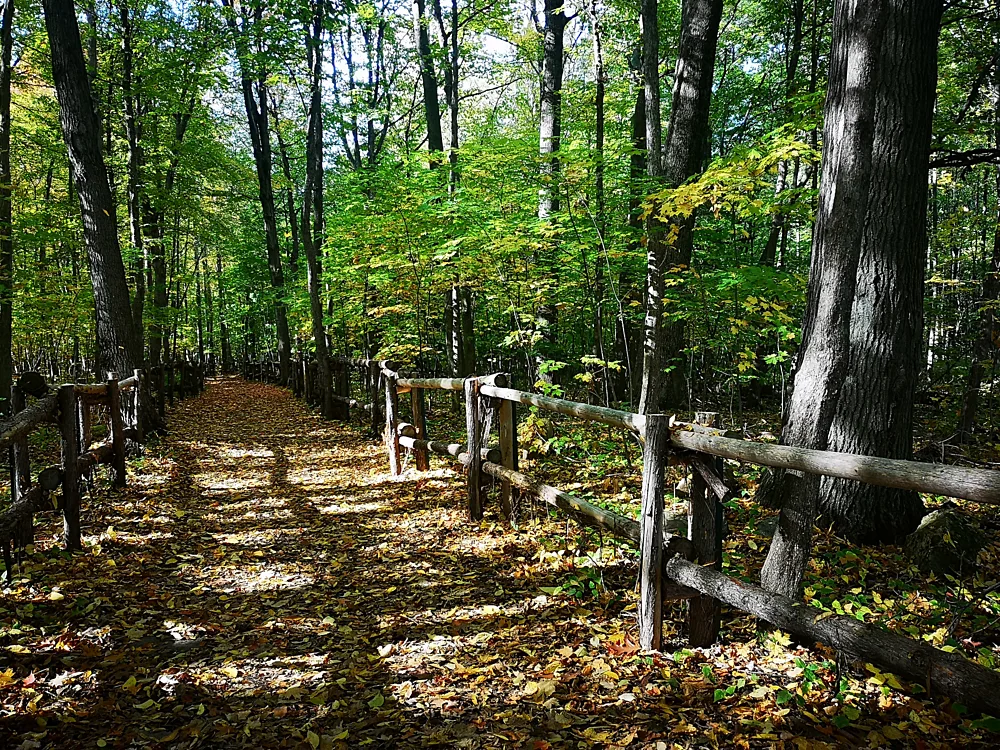 Sentier du centre écologique FS Héritage Saint Bernard