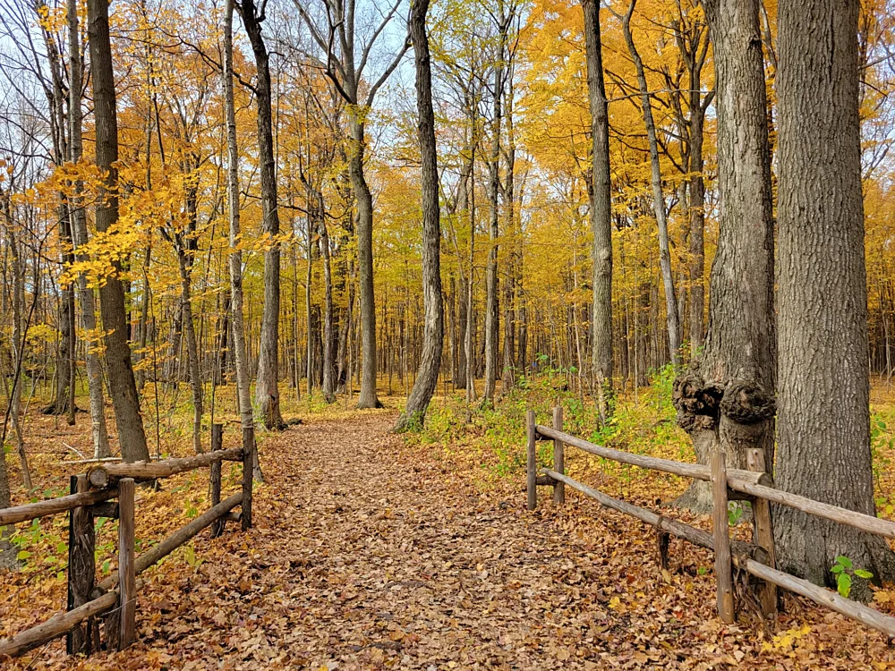 Sentier randonnee du centre ecologique FS Héritage Saint Bernard