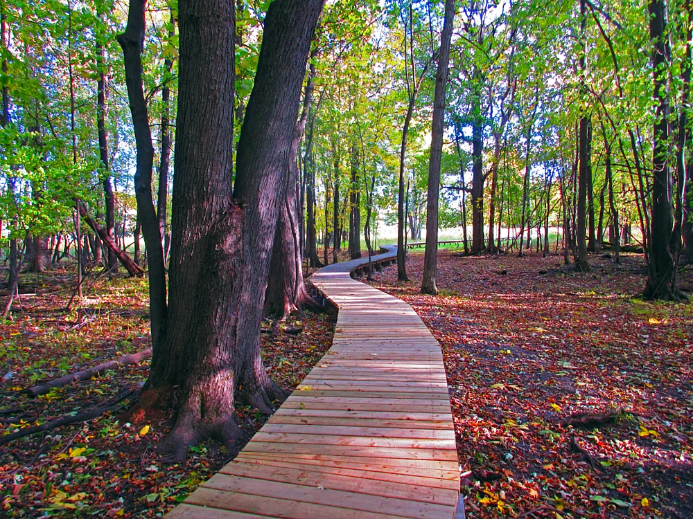 Passerelle refuge faunique Dominic Gendron