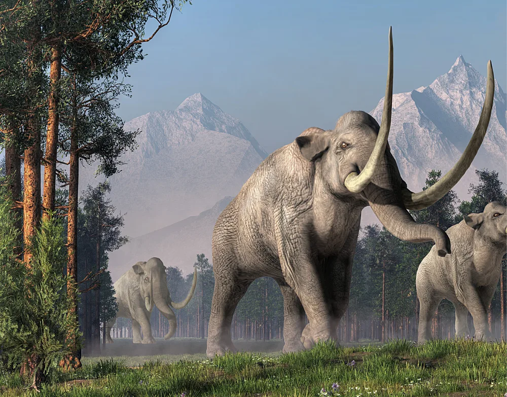 Sur les traces des geants prehistoriques
