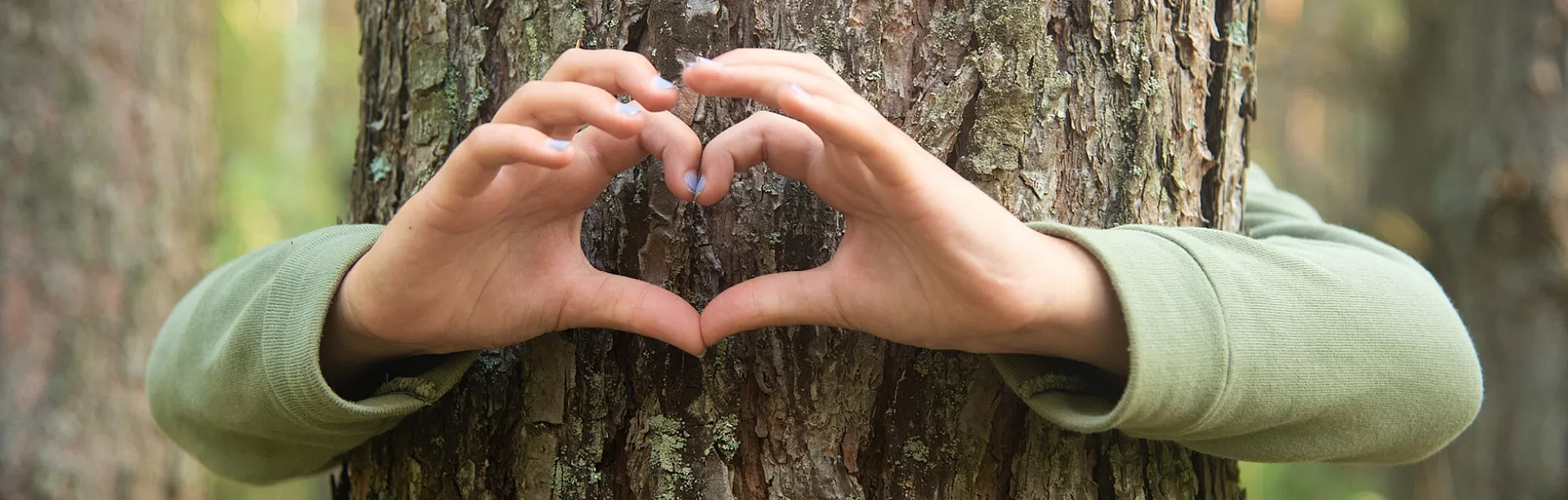 Arbre enfant coeur