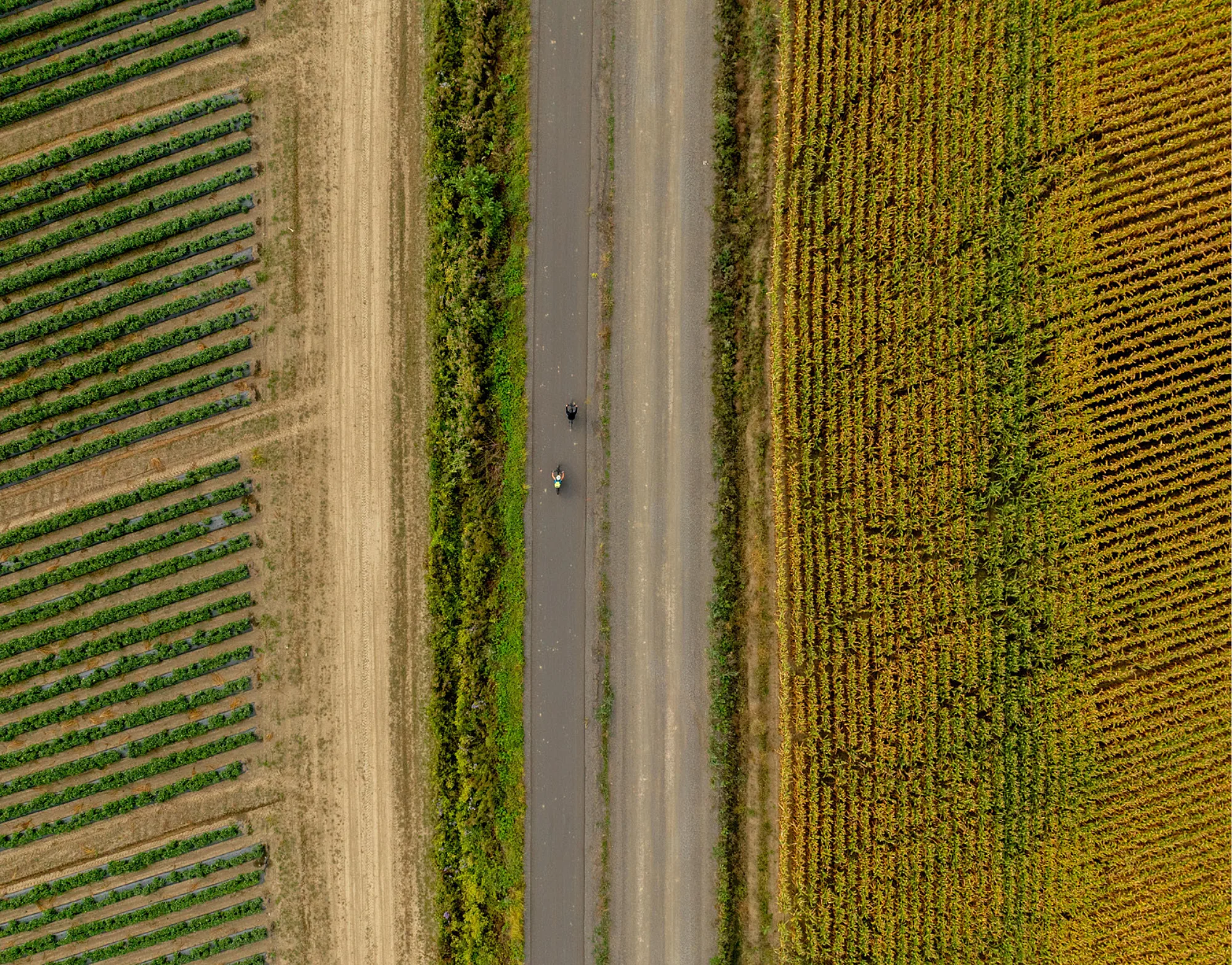 Route verte vue aerienne