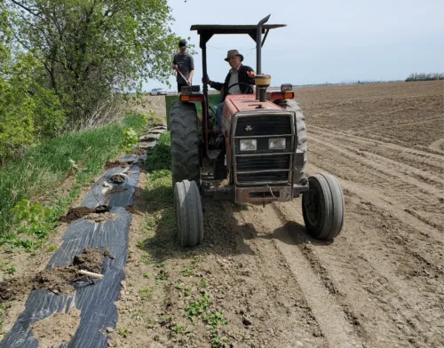 Tracteur agriculture