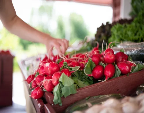 Kiosque fruits legumes