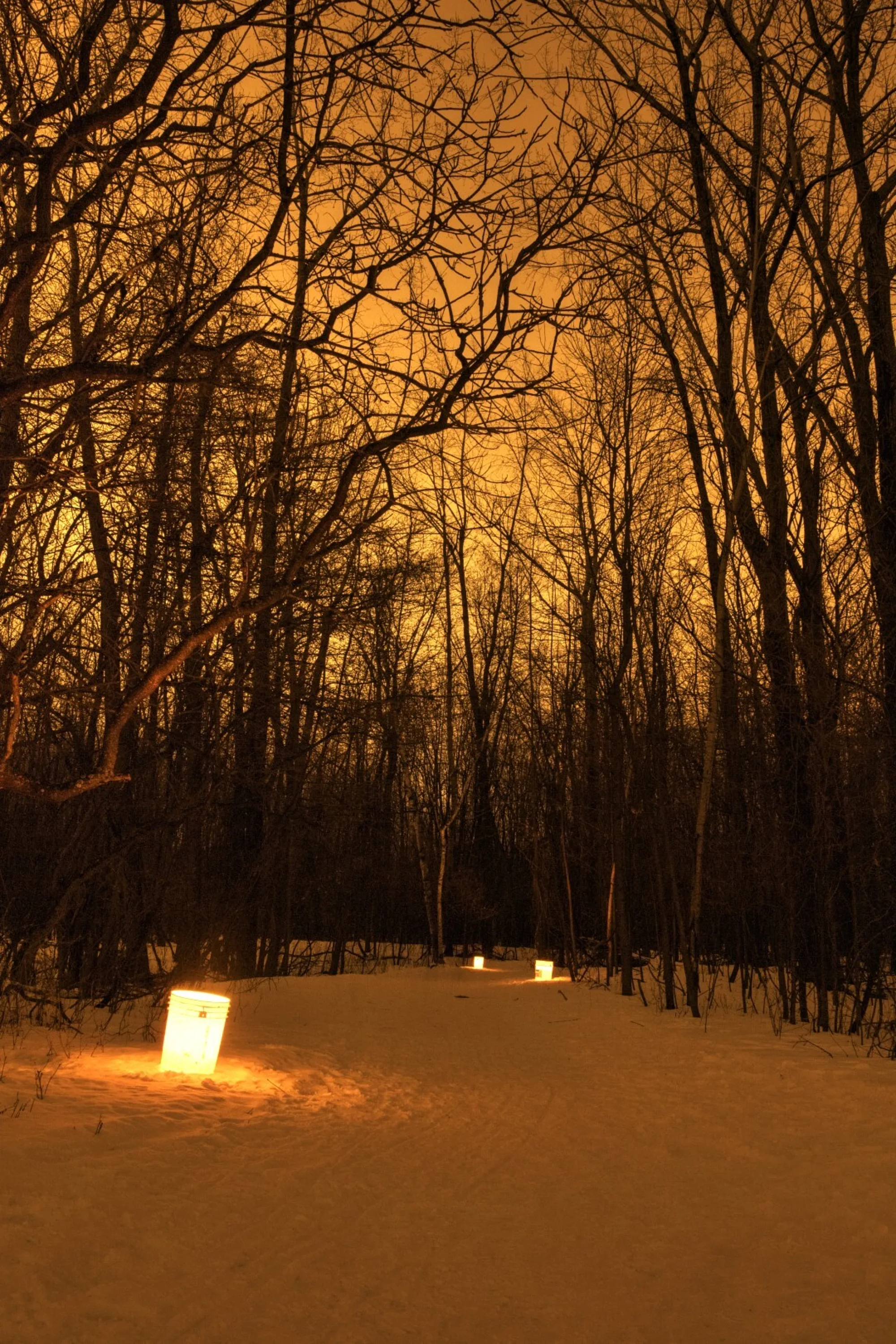 Balade aux flambeaux au centre écologique Fernand Seguin Héritage Saint Bernard 2 Large