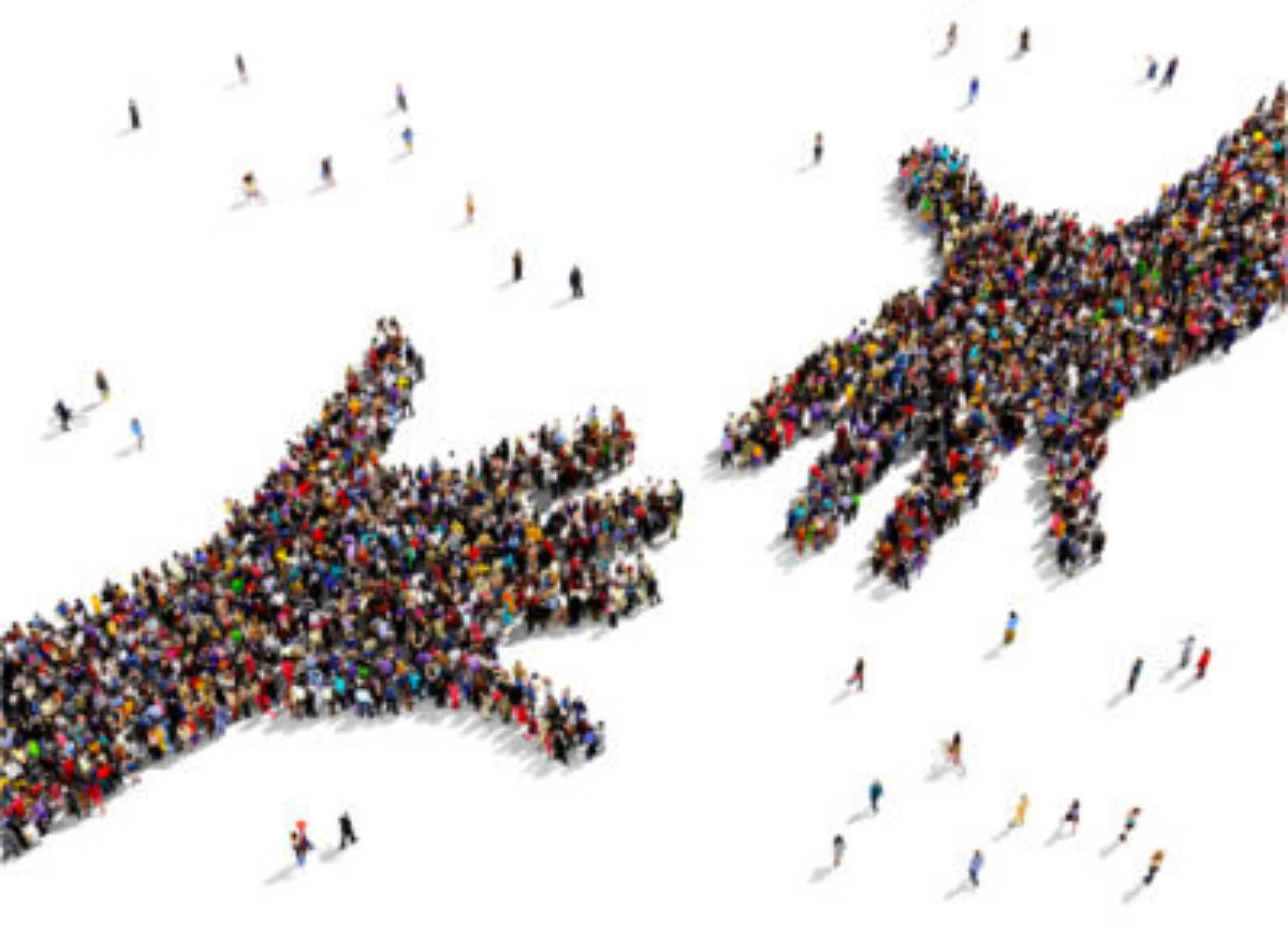 Mains Alliance e1633107511435