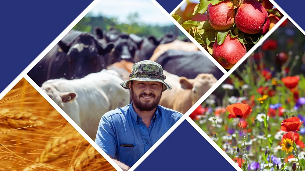 MAPAQ Images Cohortes 25 26