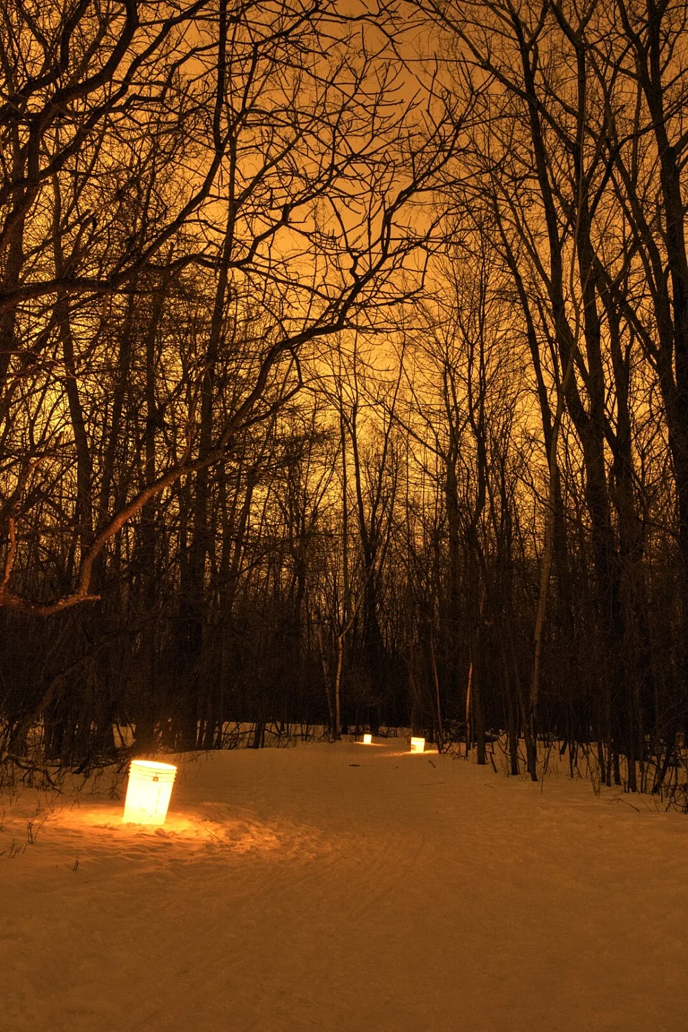 Balade aux flambeaux au centre écologique Fernand Seguin Héritage Saint Bernard 2 Large