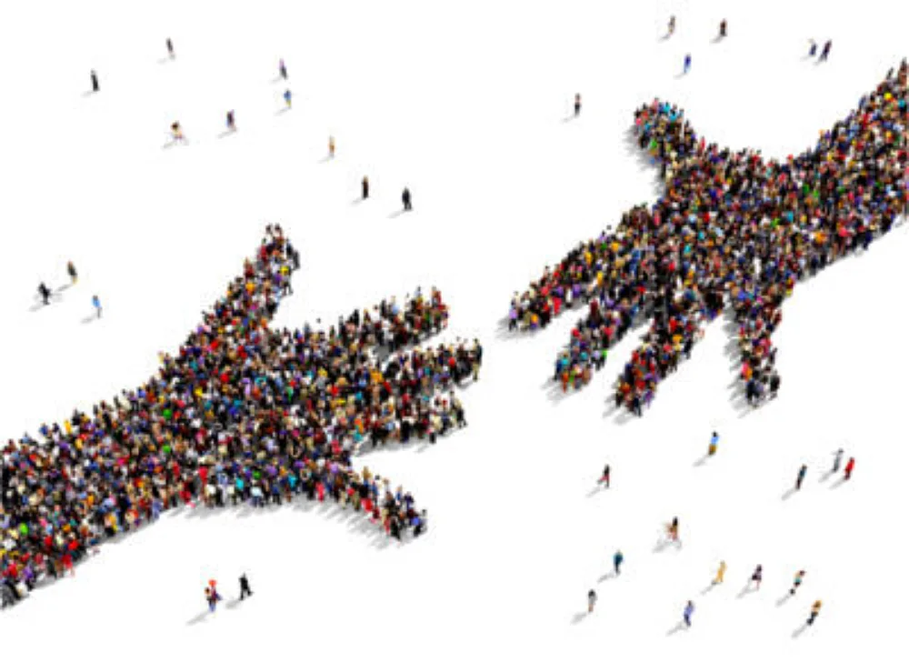 Mains Alliance e1633107511435