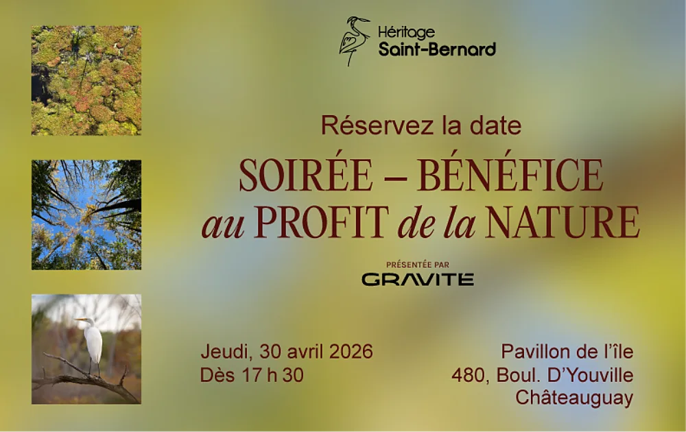Soiree benefice hsb 2026