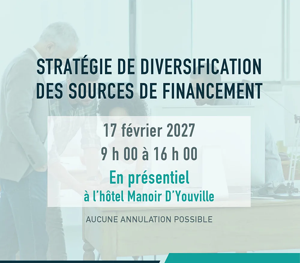 14 Strategie de diversification