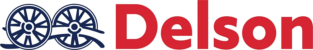 Logo Delson
